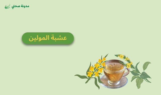 عشبة المولين